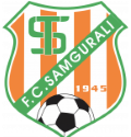 Logo Samgurali Tskh