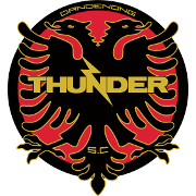Logo Dandenong Thunder